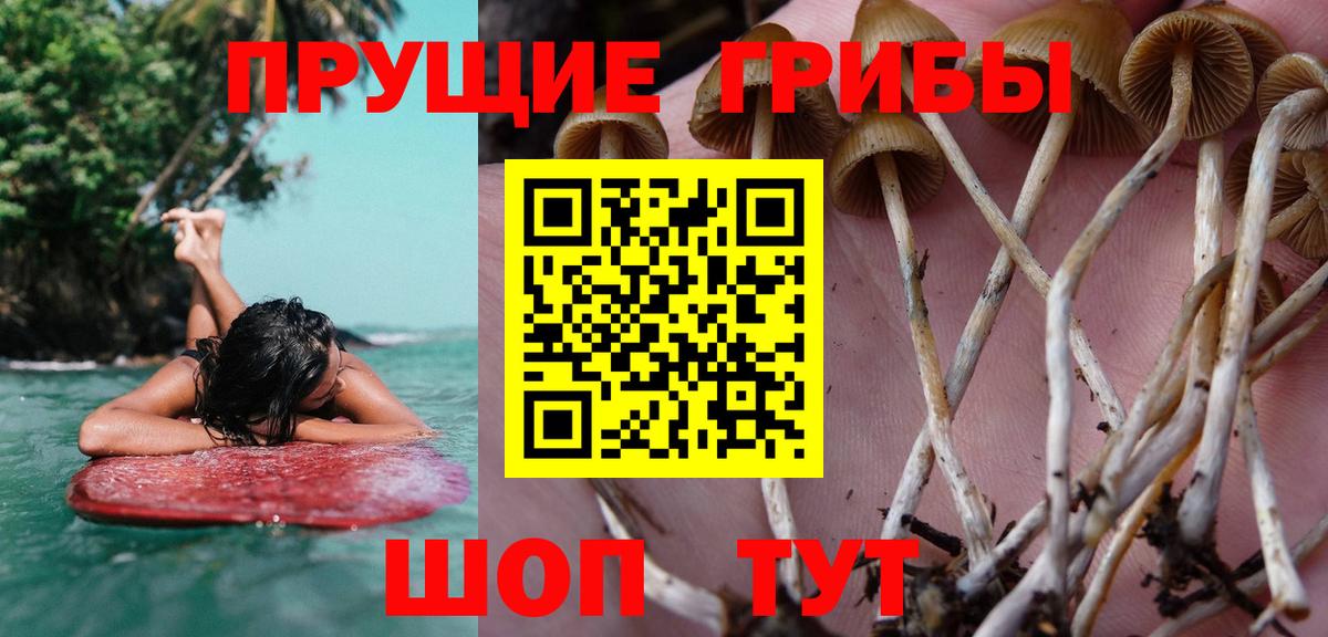 Псилоцибиновые грибы мухоморы Кировск