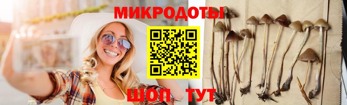 Галлюциногенные грибы Psilocybine cubensis  Вход с VPN  купить наркоту  Кировск 